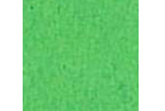 Fotokarton folia appelgroen 50x70cm 300gr pak a 25 vel