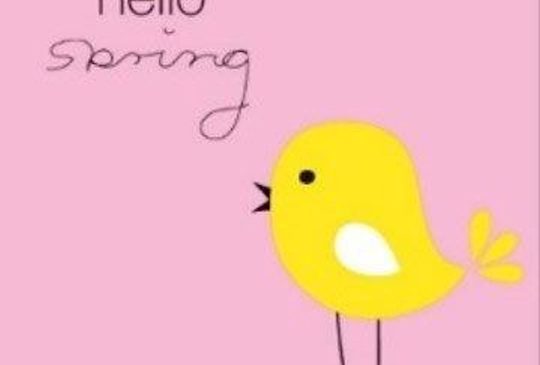 Duni servetten Hello Spring 3-laags 33x33