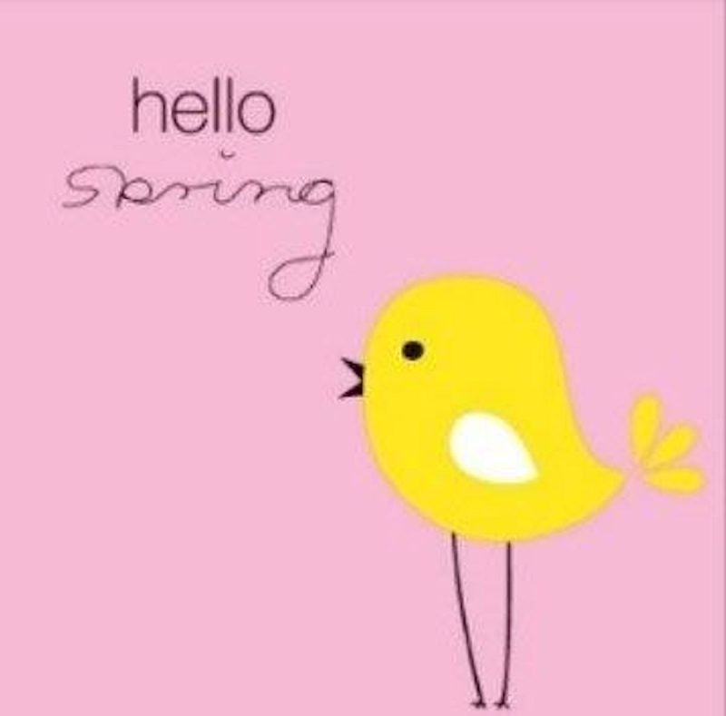 Duni servetten Hello Spring 3-laags 33x33