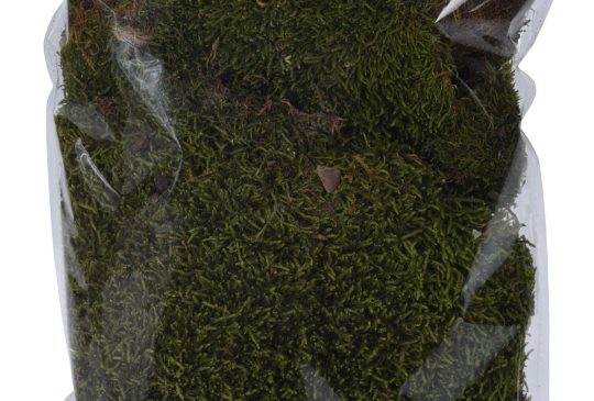 Mos 100 gram - Groen